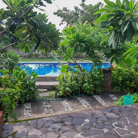 Oyo 3070 Villa Lovina Eco Lodge المظهر الخارجي الصورة